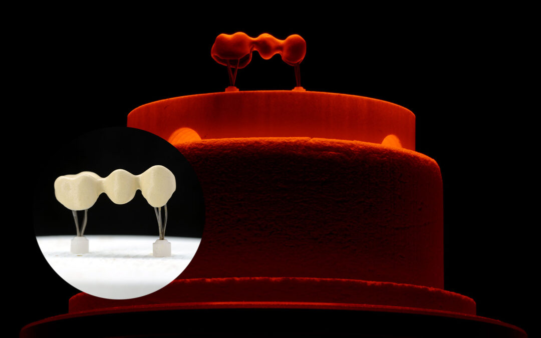 Brennguttraeger Dentalkeramik
