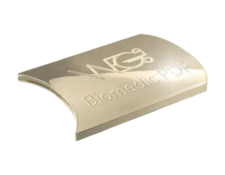Wegold Biomedic PDF Dentallegierung