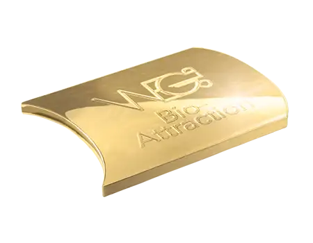Wegold Bio-Attraction Dentallegierung